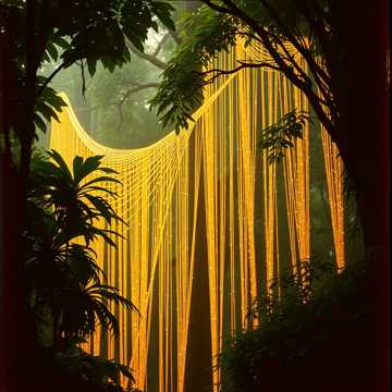 Cover art for The Golden Parade by aricquinion@gmail.com